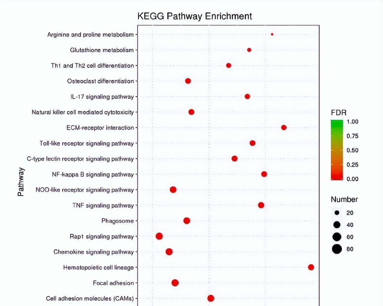 如何利用rna测序，对不同牛组织中的性别二态基因进行全面鉴定？
