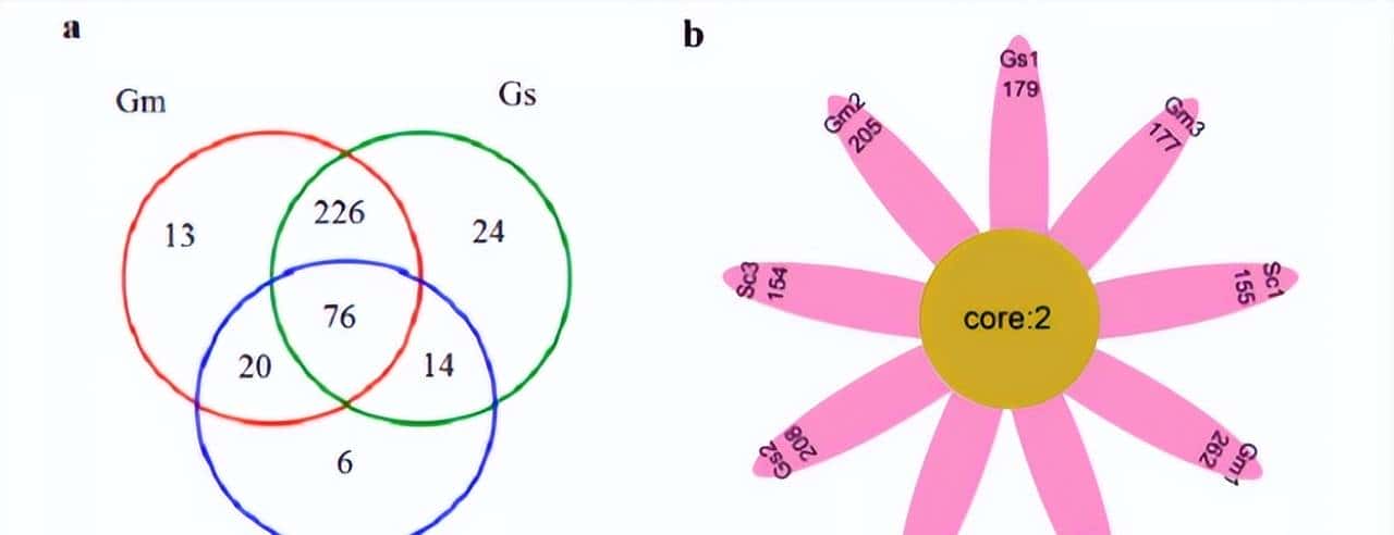 如何利用rna测序，对不同牛组织中的性别二态基因进行全面鉴定？