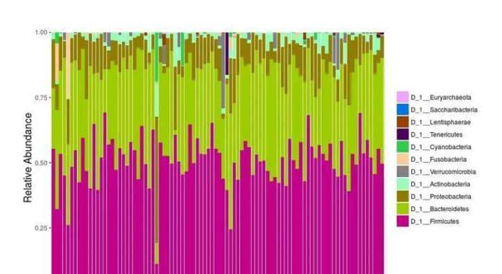 如何利用rna测序，对不同牛组织中的性别二态基因进行全面鉴定？