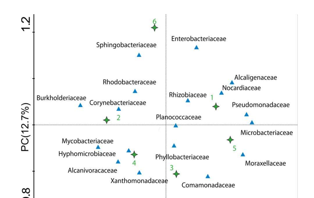 如何利用rna测序，对不同牛组织中的性别二态基因进行全面鉴定？