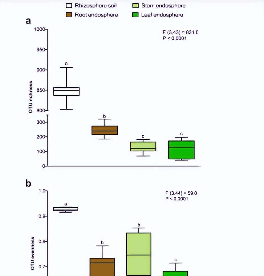 如何利用rna测序，对不同牛组织中的性别二态基因进行全面鉴定？