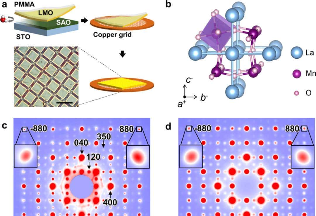 量子材料亦隐形