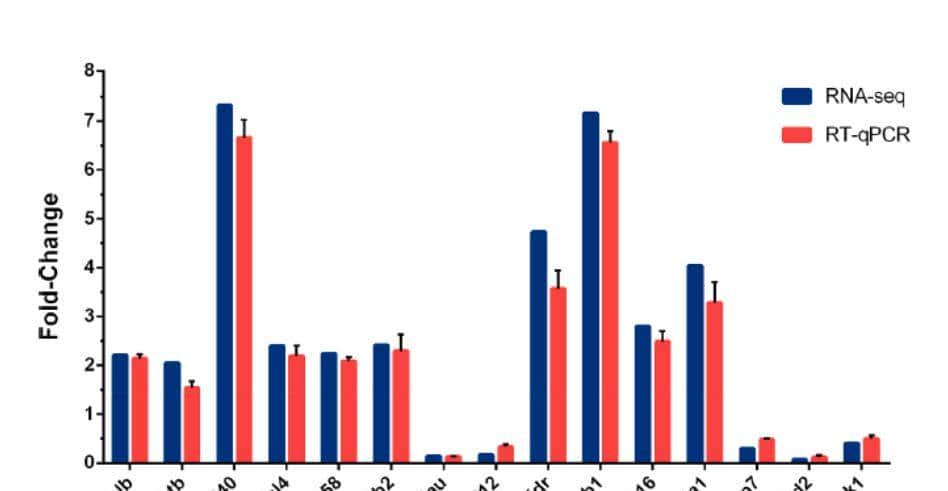 如何利用rna测序，对不同牛组织中的性别二态基因进行全面鉴定？