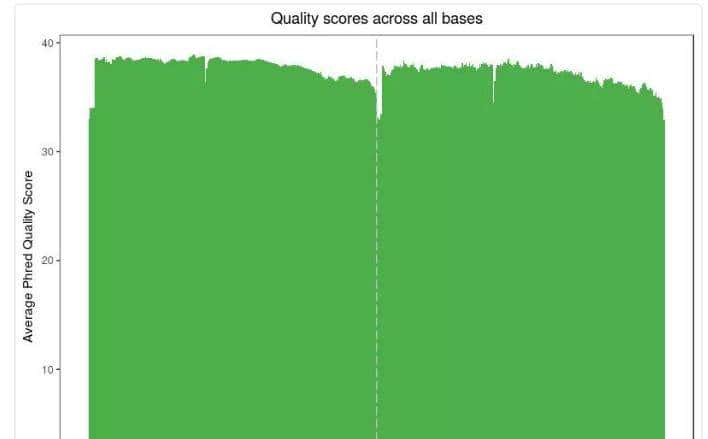 如何利用rna测序，对不同牛组织中的性别二态基因进行全面鉴定？