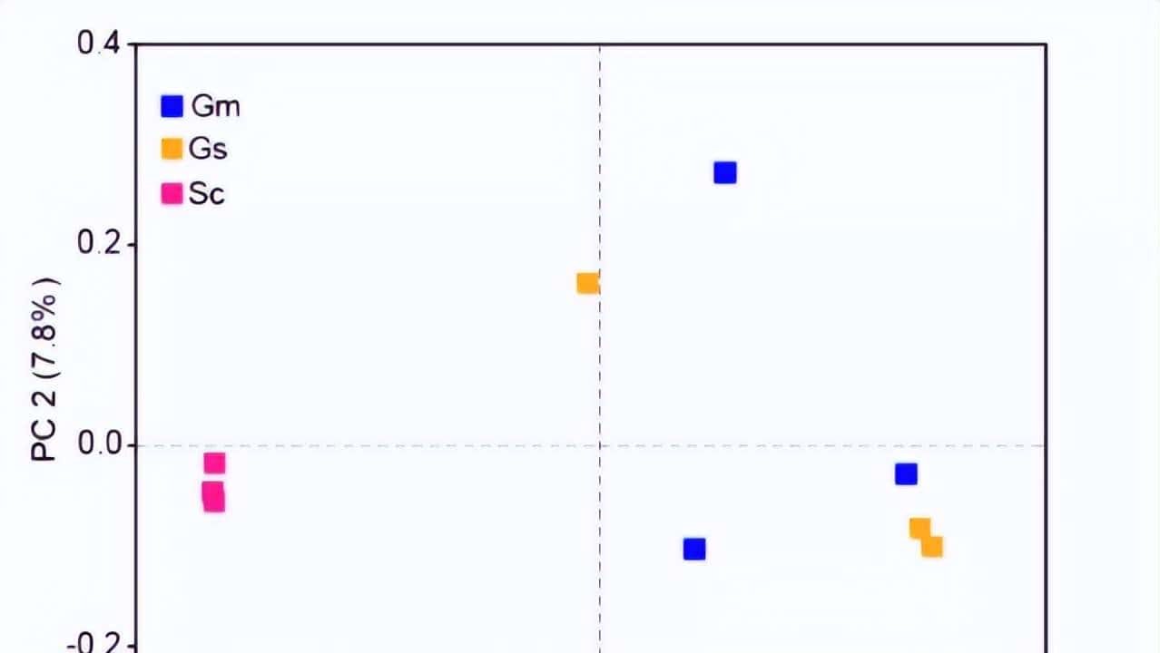如何利用rna测序，对不同牛组织中的性别二态基因进行全面鉴定？