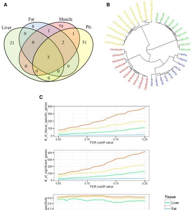 如何利用rna测序，对不同牛组织中的性别二态基因进行全面鉴定？