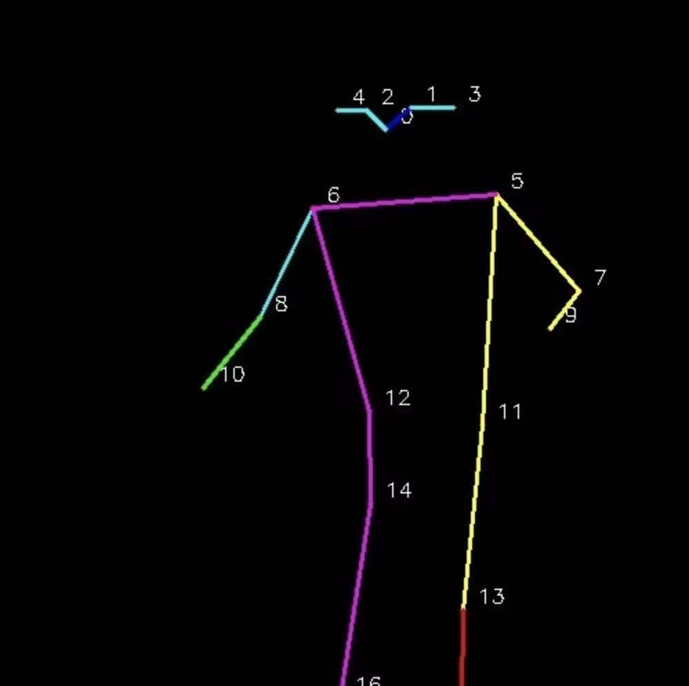 利用 Yolov11 模型的人体姿态检测进行运动项目的锻炼监测