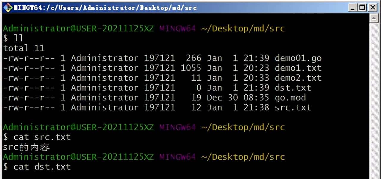 Go语言编程从入门到精通，文件的读、建、写、删、复制、读取json