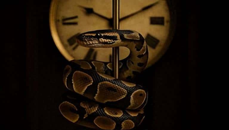 你可能没有听说过的有用的Python库：Freezegun - 宋马