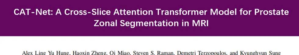 [论文]TMI: CAT-Net: A Cross-Slice Attention Transformer Model for Prostate Zonal Segmentation in MRI - 宋马
