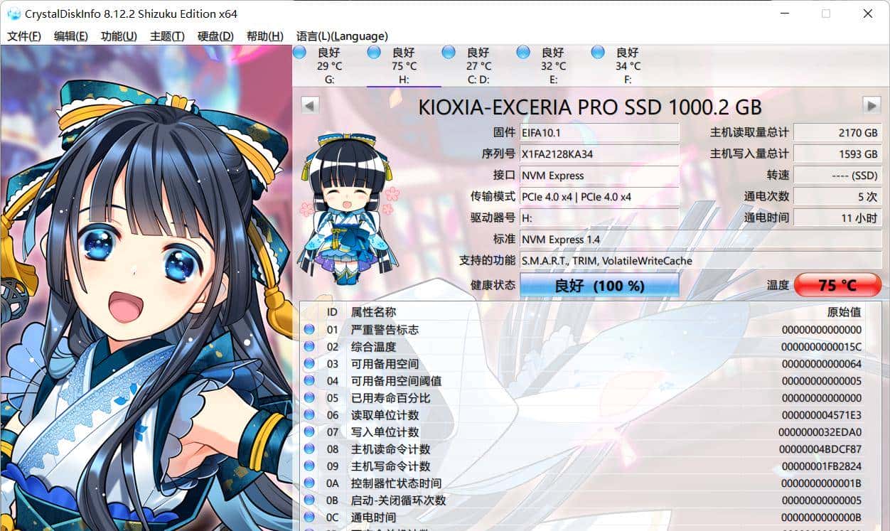 原厂纯血，铠侠SE10 1TB评测