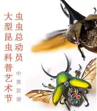 填完志愿的第一个周末，我要野