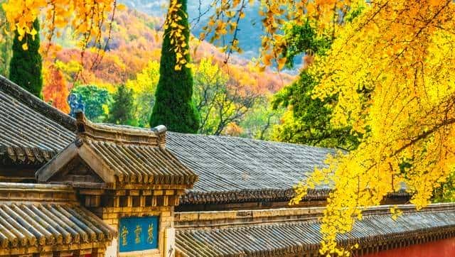 别再死记硬背了！与“Make”相关的11个热门考点一次讲透