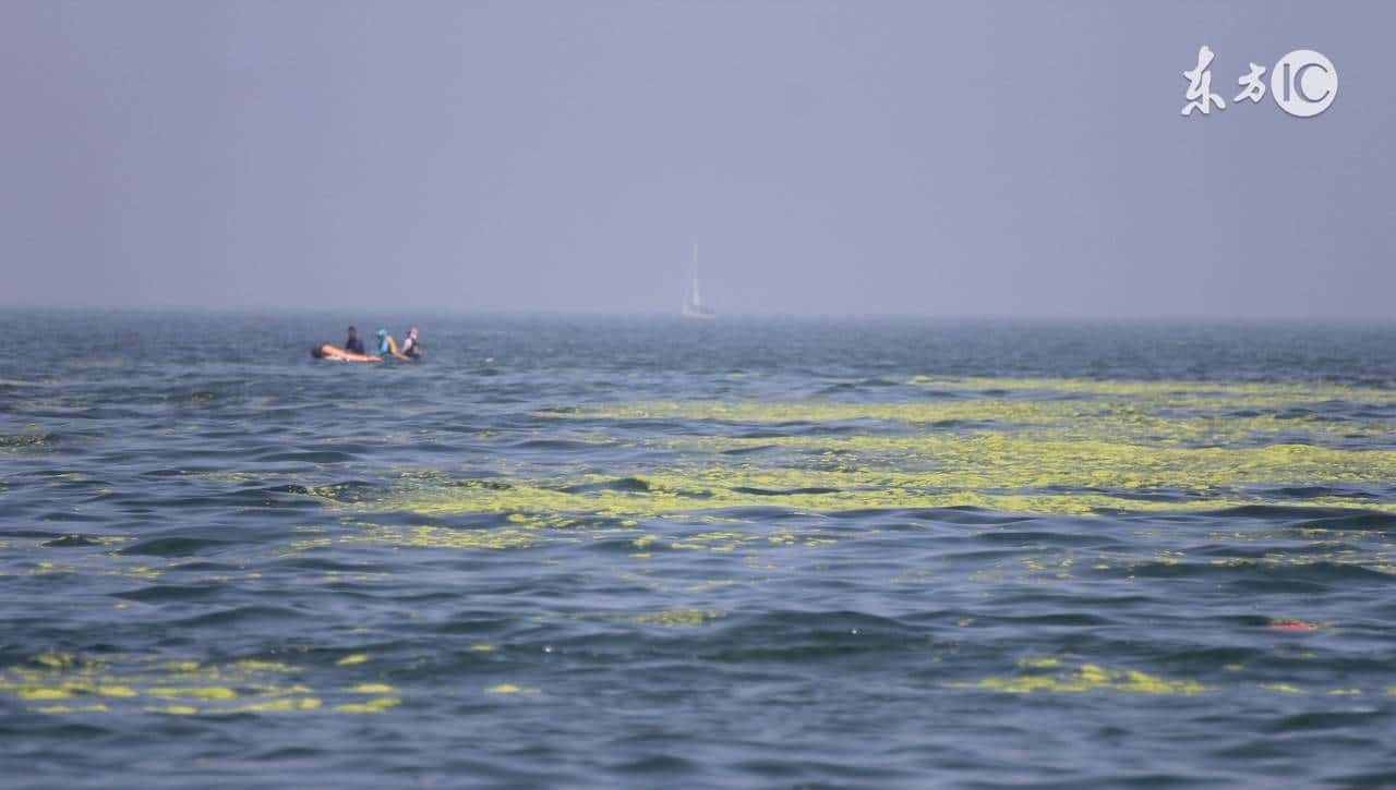 初二英语下册（人教版）第二单元重点语法 - 宋马