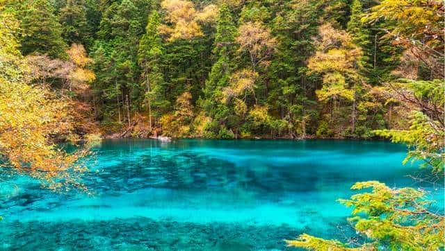 别再死记硬背了！与“Make”相关的11个热门考点一次讲透