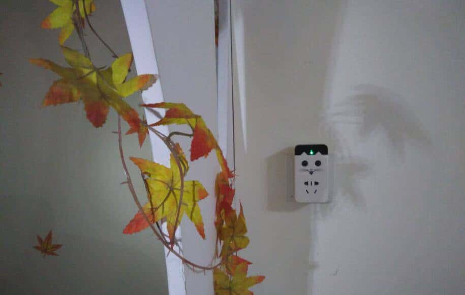 精选小猫智能管家-------一款让人刮目相看的插座