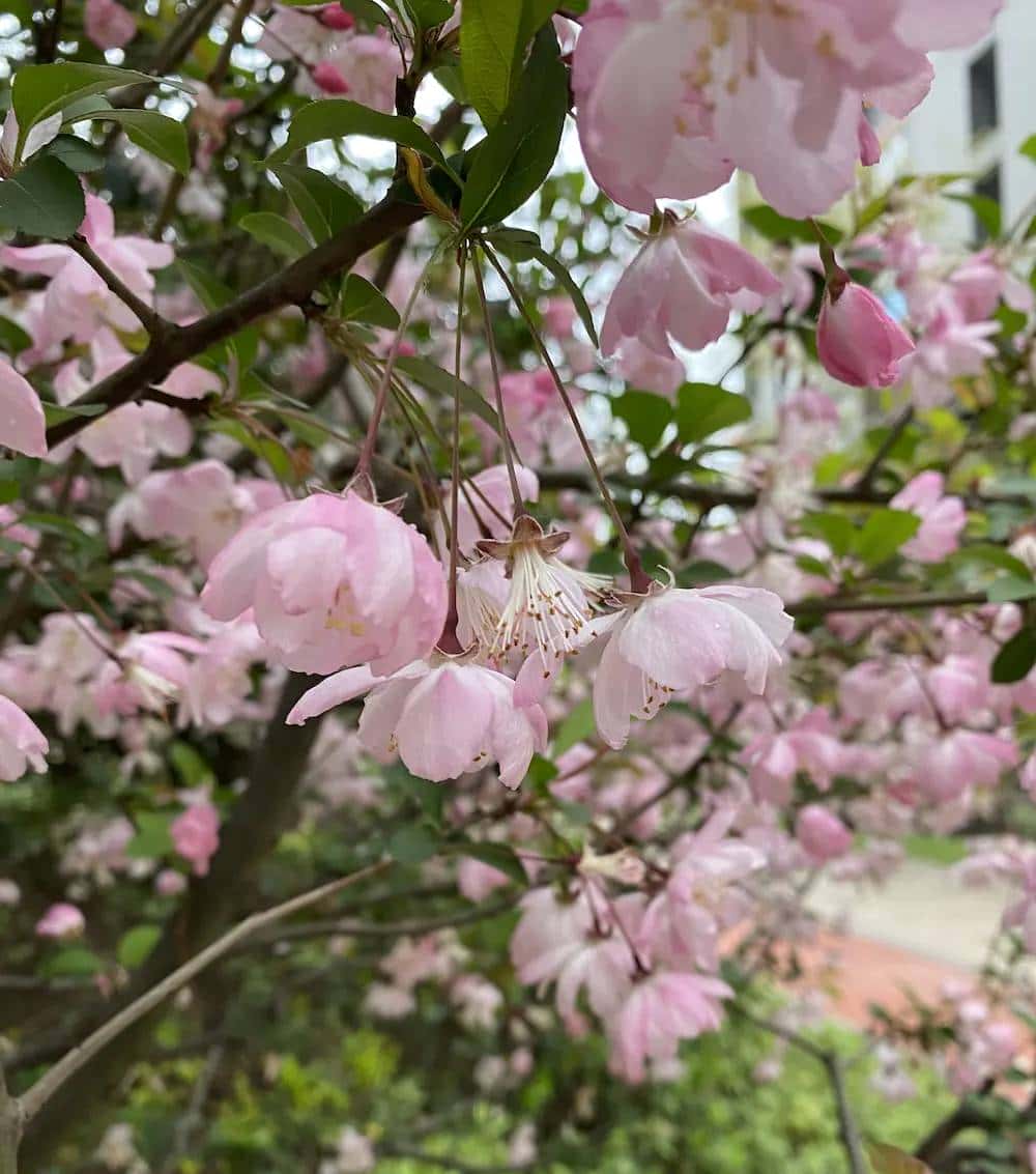 thinkphp6 自动api文档 - 宋马