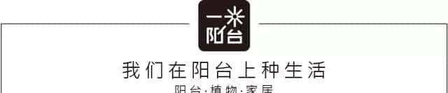 有关播种你所要知道的一切