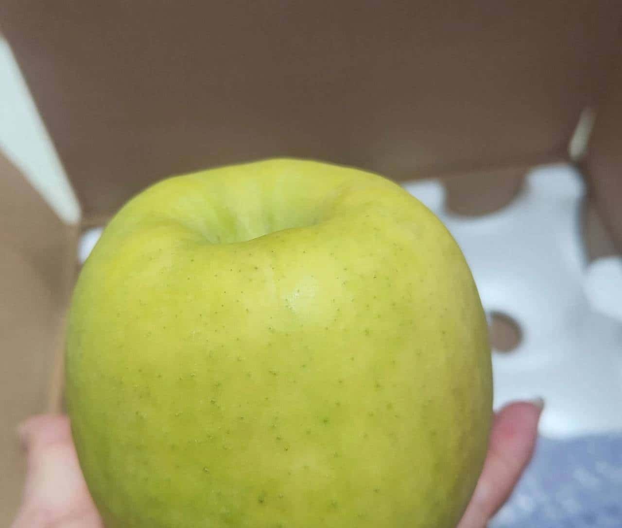 富县瑞雪苹果的栽培表现与管理技术解析