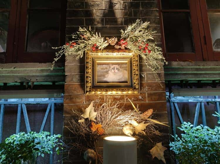 OPPO Find X9系列双机首测：不再摇摆，勇敢做自己