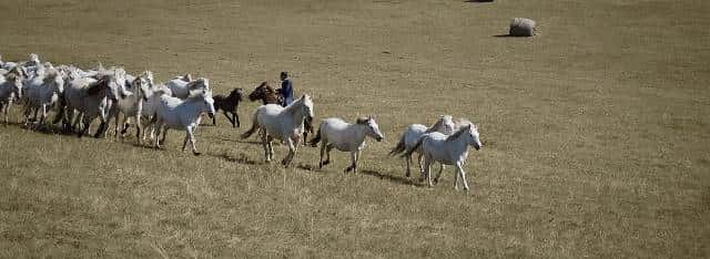 OPPO Find X9系列双机首测：不再摇摆，勇敢做自己