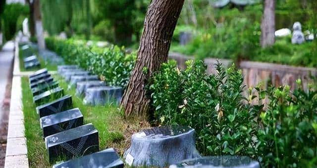 原来土葬比火葬更可怕，人死后埋入地下一个月，尸体会发生什么？