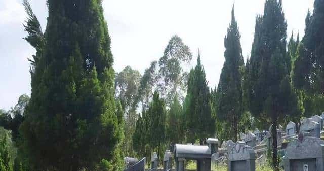 原来土葬比火葬更可怕，人死后埋入地下一个月，尸体会发生什么？