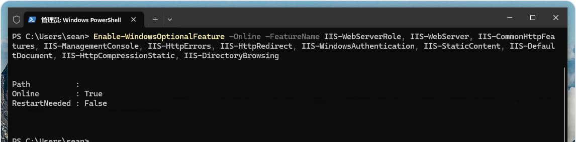 如何在 Windows 11 上启用 IIS（Internet Information Services）