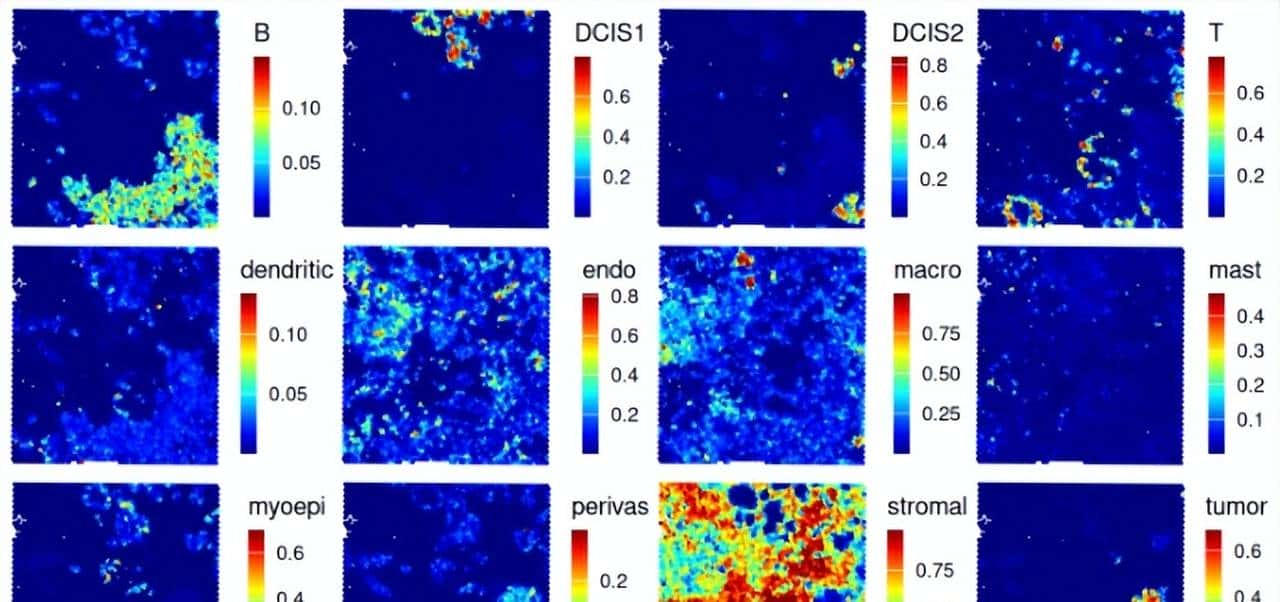 空间转录组: 反卷积及可视化