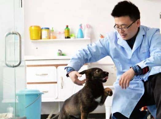 【战甲轰鸣】中国首例克隆警犬诞生