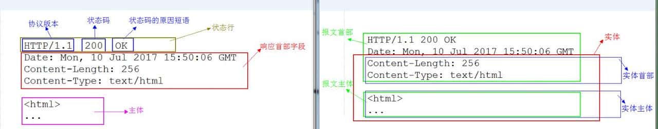 太厉害了，终于有人能把HTTP 协议讲的明清楚白了