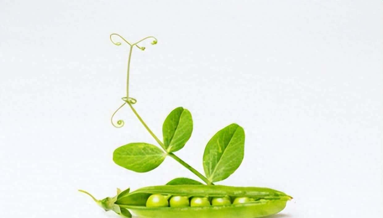 云原生（十五） | Kubernetes 篇之深入了解 Pod - 宋马