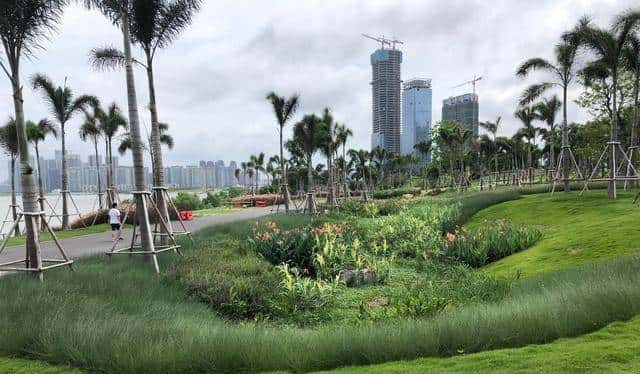 庭院排水系统全攻略:8种排水方式详解