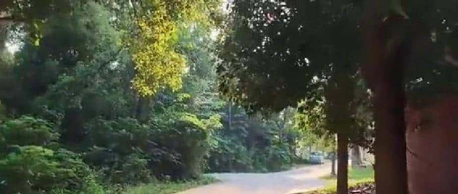 稀土在农村，叫什么呢？