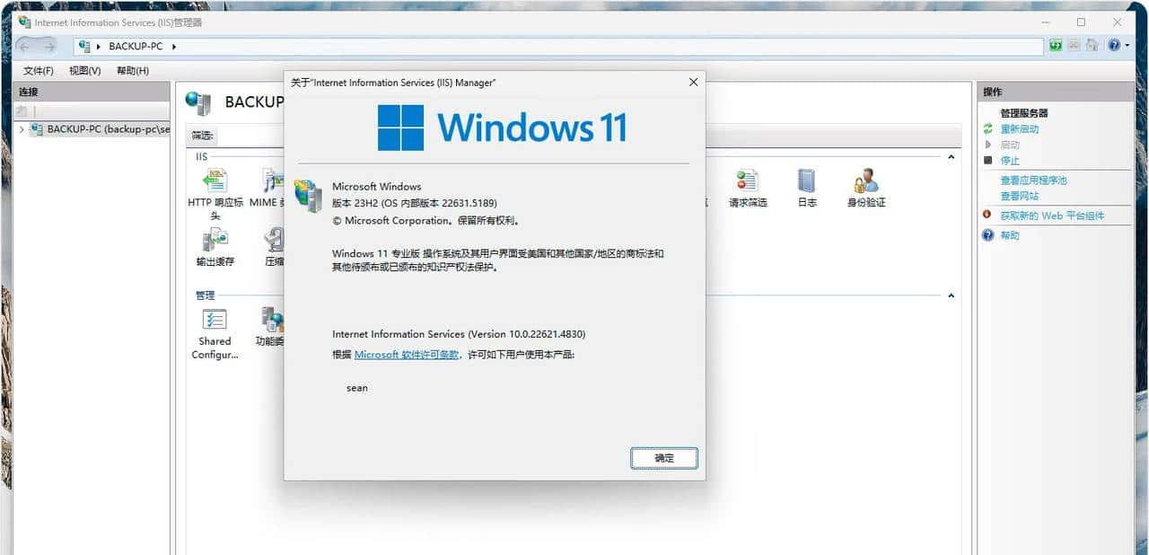 如何在 Windows 11 上启用 IIS（Internet Information Services）