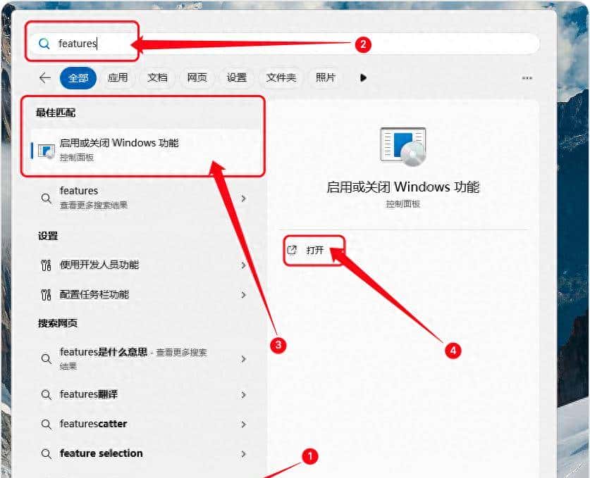 如何在 Windows 11 上启用 IIS（Internet Information Services）
