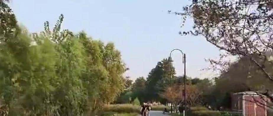 稀土在农村，叫什么呢？