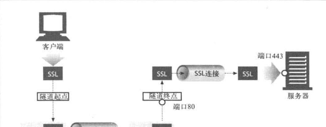 太厉害了，终于有人能把HTTP 协议讲的明清楚白了