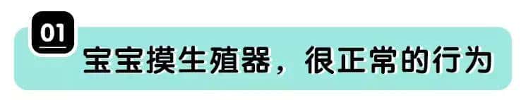 宝宝为什么总是摸私处？看完这个就懂了