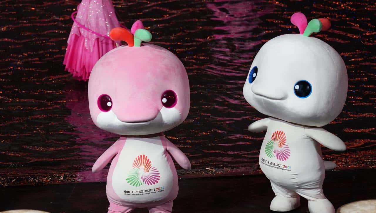 全运会|“活力大湾鸡”,你暴露了一个“智造大湾区”