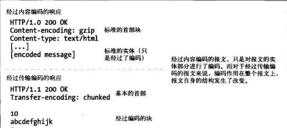 太厉害了，终于有人能把HTTP 协议讲的明清楚白了