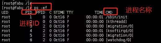 linux的查查大法