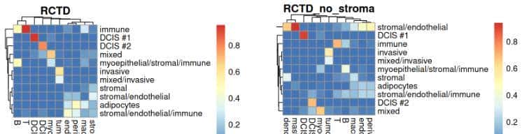 空间转录组: 反卷积及可视化