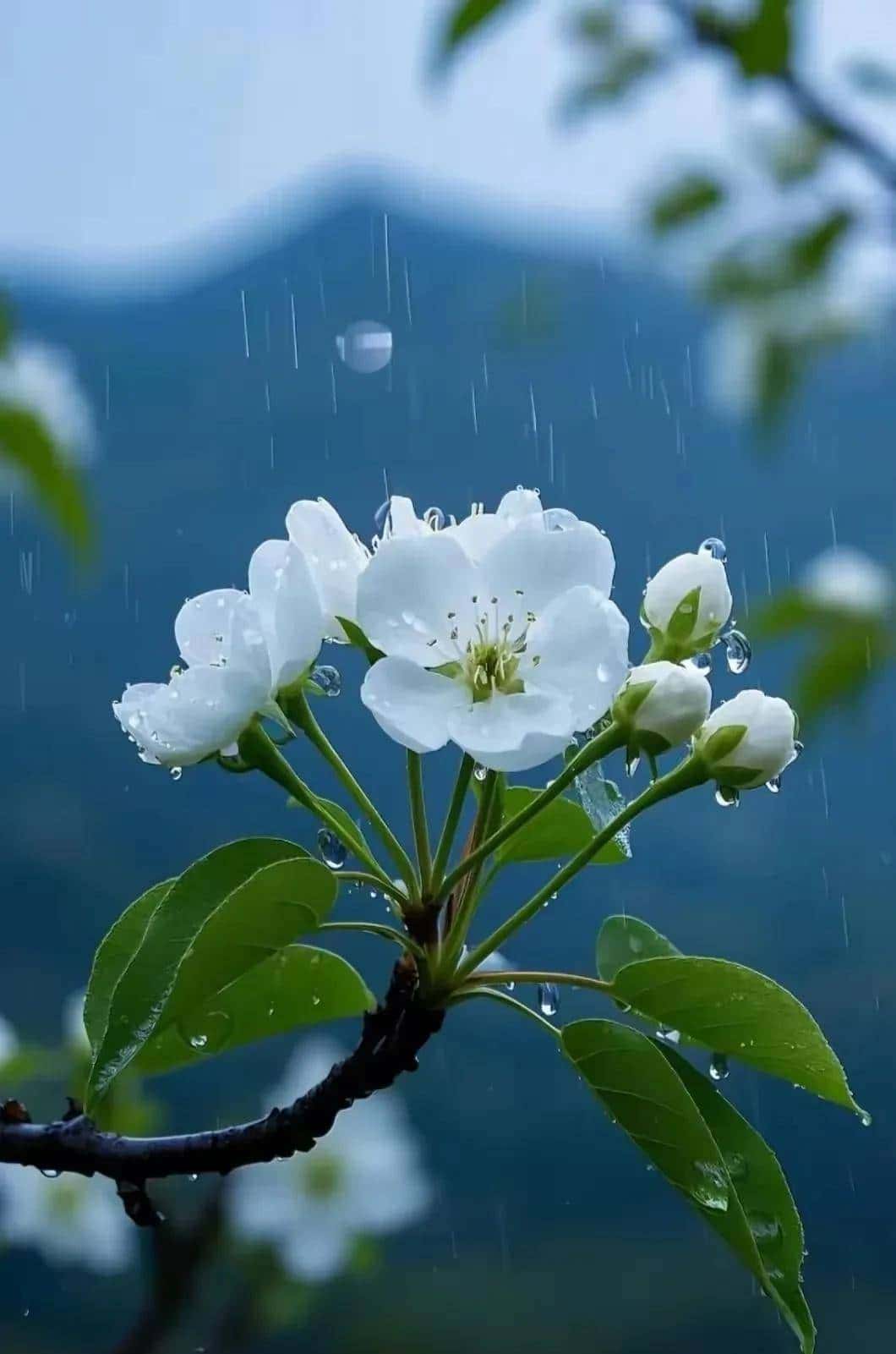 中国人最易读错的100个常用单词，欢迎补充！