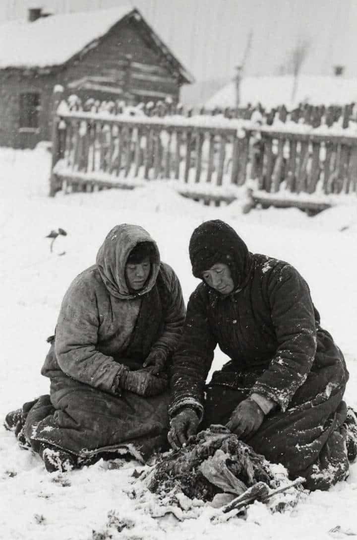 1942年，中原大旱三年后接百年暴雪……