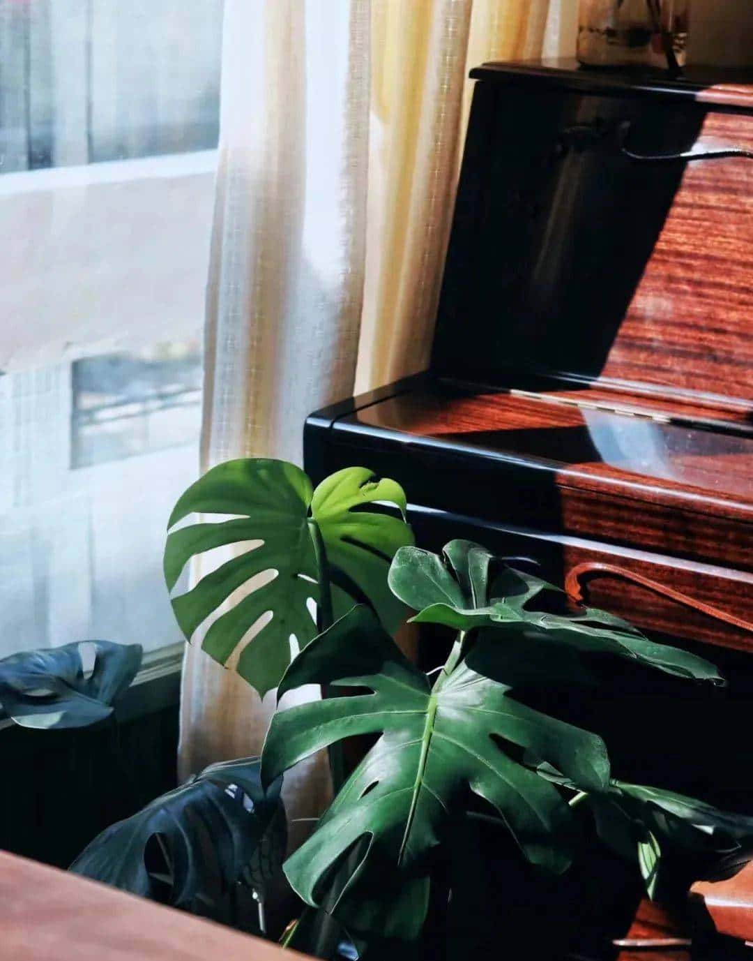 用800块过上理想生活、花50w“重启人生”，她们说这是今年花得最值的一笔钱！