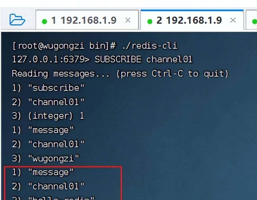 一文彻底读懂 Redis