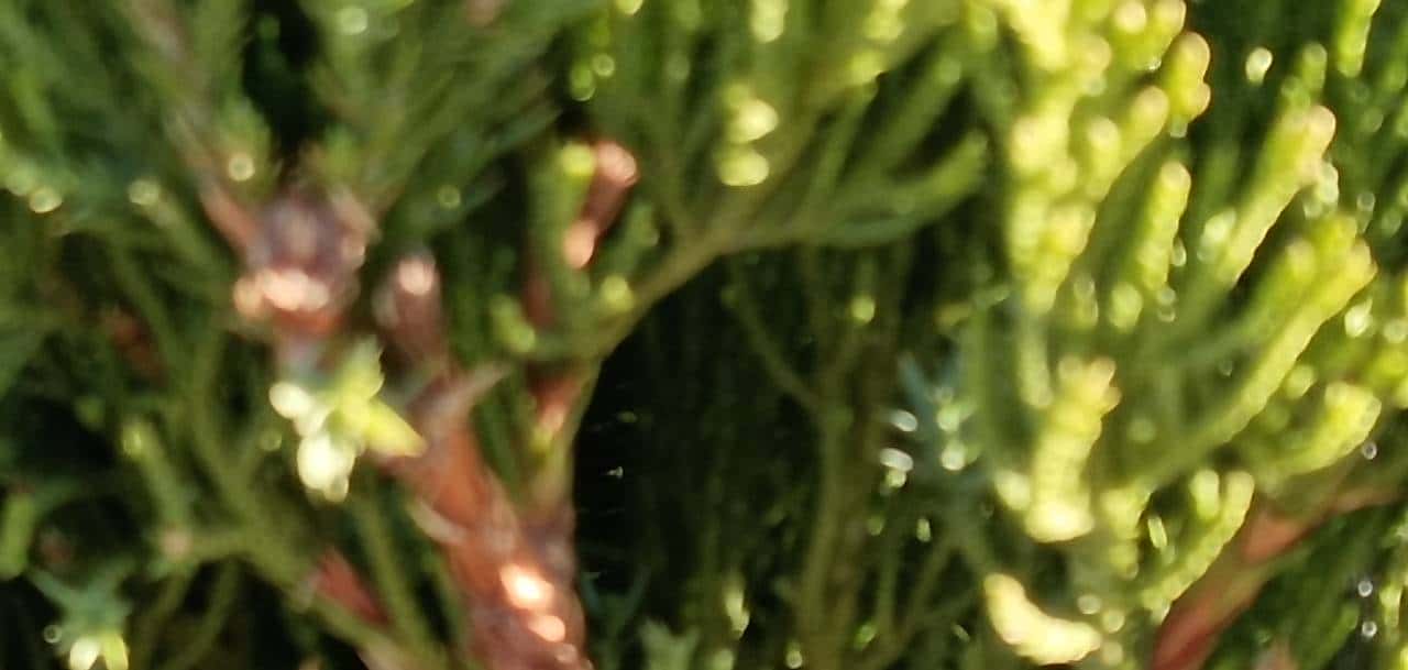 现代文苑==难忘的秋千 - 宋马