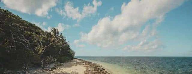 未经批准!珠海男子带锄头登无人岛,被抓后现场查获“牛大力”