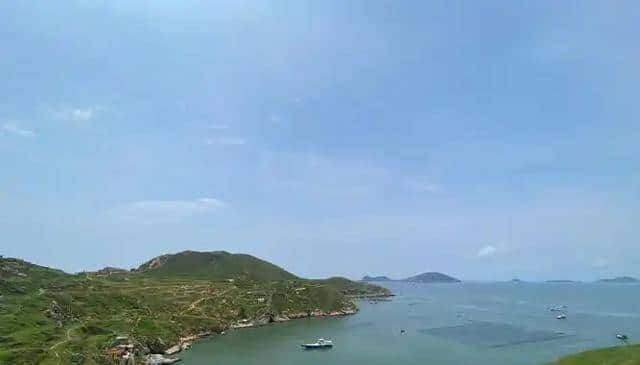 未经批准!珠海男子带锄头登无人岛,被抓后现场查获“牛大力”